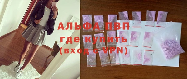 мяу мяу мука Гусь-Хрустальный