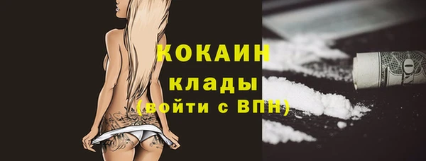 мяу мяу мука Гусь-Хрустальный