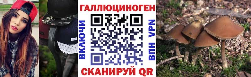 магазин продажи наркотиков  Костерёво  Псилоцибиновые грибы Psilocybine cubensis 