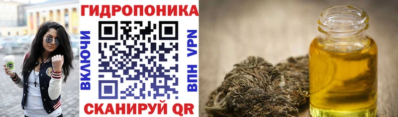 Канабис гибрид  Костерёво 